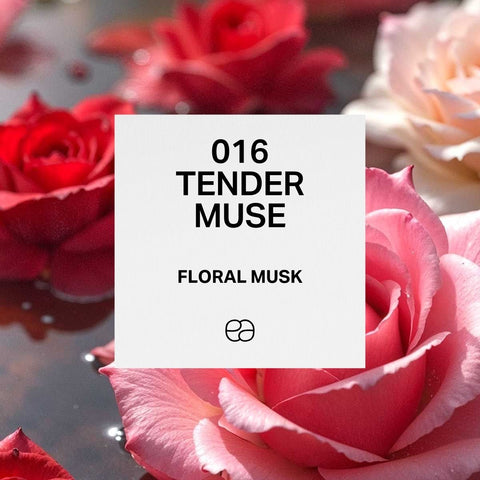 016 Tender Muse