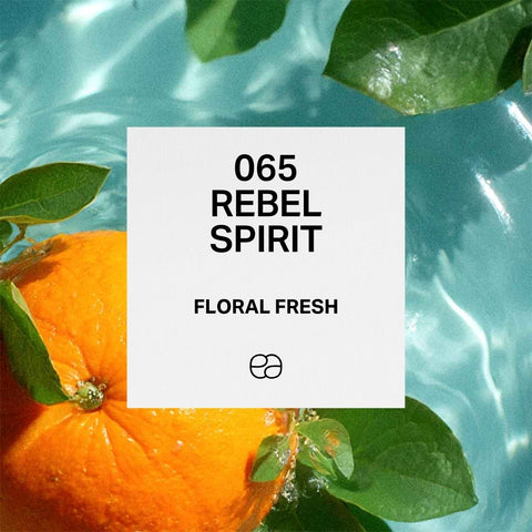 065 Rebel Spirit