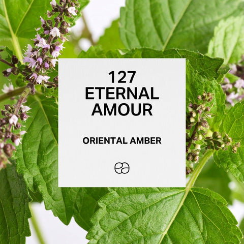 127 Eternal Amour