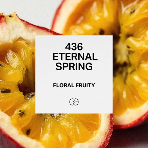 436 Eternal Spring