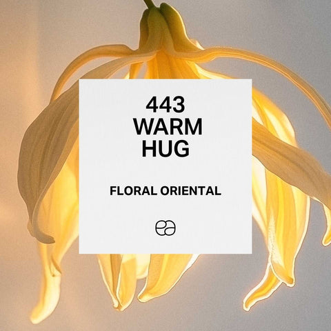 443 Warm Hug