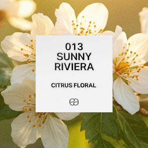 013 Sunny Riviera - 2