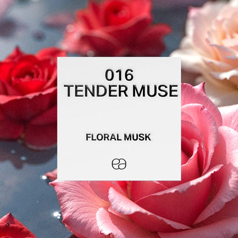 016 Tender Muse - 2