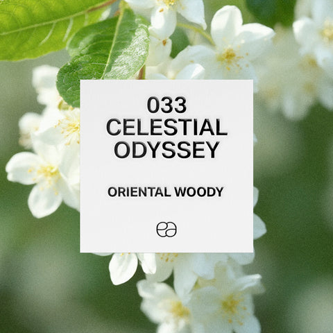 033 Celestial Odyssey - 2