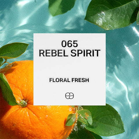 065 Rebel Spirit - 2