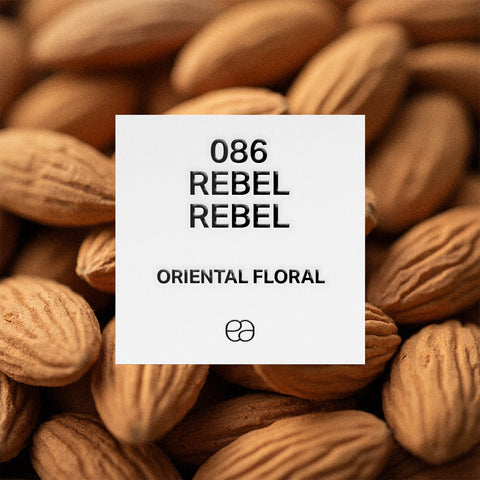 086 Rebel Rebel - 2