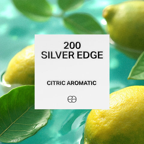 200 Silver Edge - 2