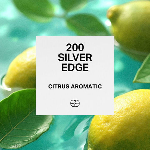 200 Silver Edge