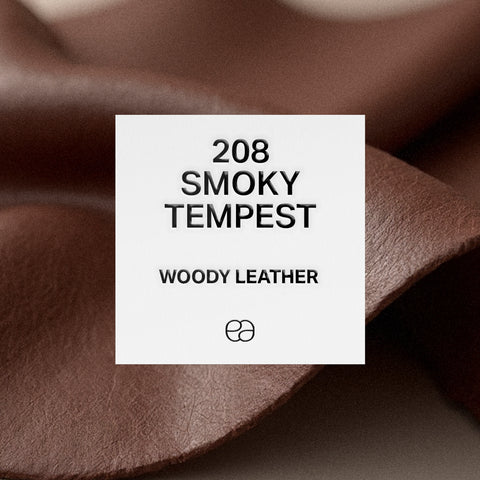 208 Smoky tempest - 2