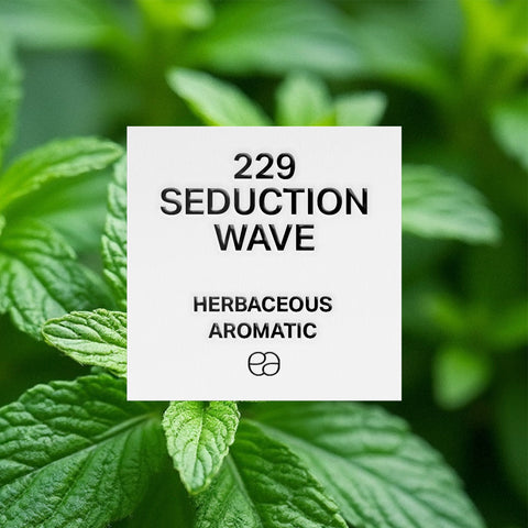 229 Seduction Wave - 2