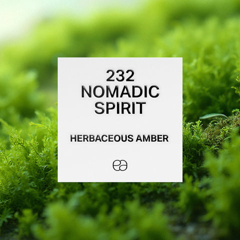 232 Nomadic Spirit - 2