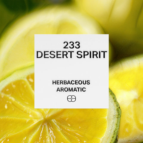 233 Desert Spirit - 2