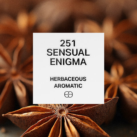 251 Sensual Enigma - 2