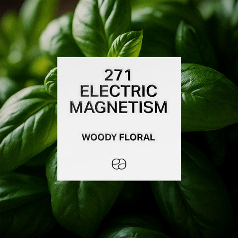 271 Electric Magnetism - 2