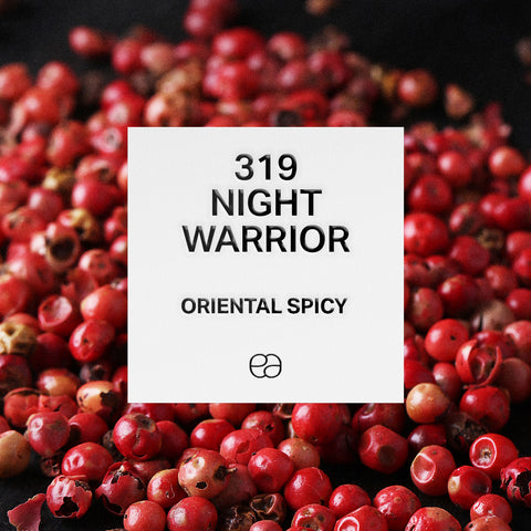 319 Night Warrior - 2