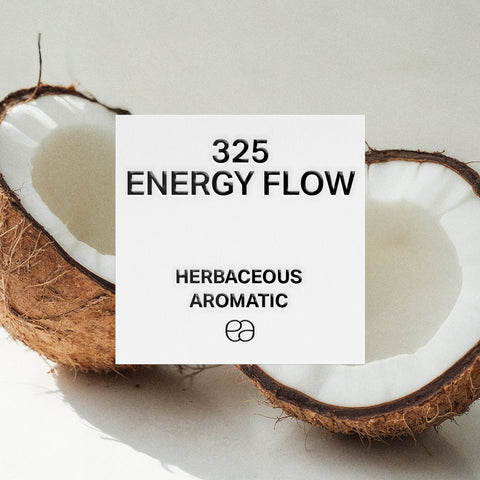 325 Energy Flow - 2