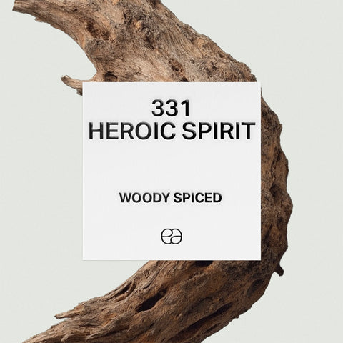 331 Heroic Spirit - 2