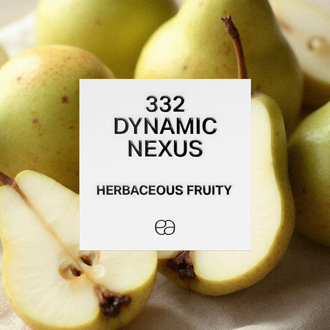 332 Dynamic Nexus - 2