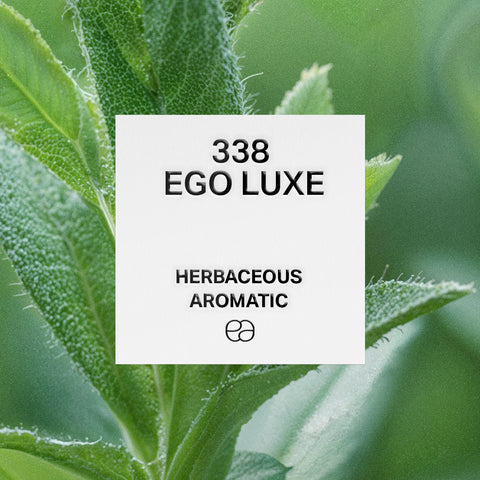 338 Ego Luxe - 2