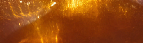 Nos produits, fabriqués en Europe occidentale, respectent les normes de l’International Fragrance Association (IFRA). Avec des ingrédients véganes, naturels et sans microplastiques, ils sont de qualité, sûrs et respectueux de l’environnement.