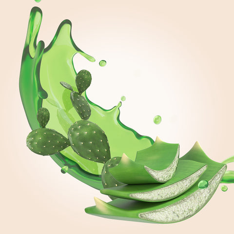 Crème pour les mains hydratante aloe vera